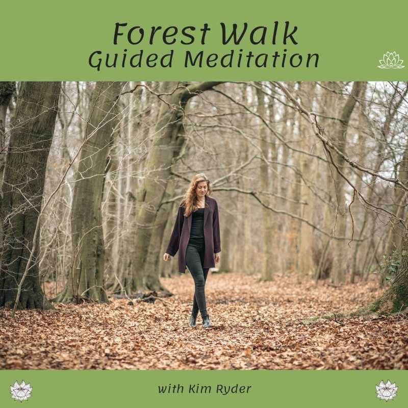 Forest Walk Guided Meditation - Kim Ryder