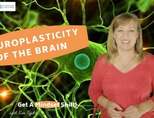 Neuroplasticity of The Brain